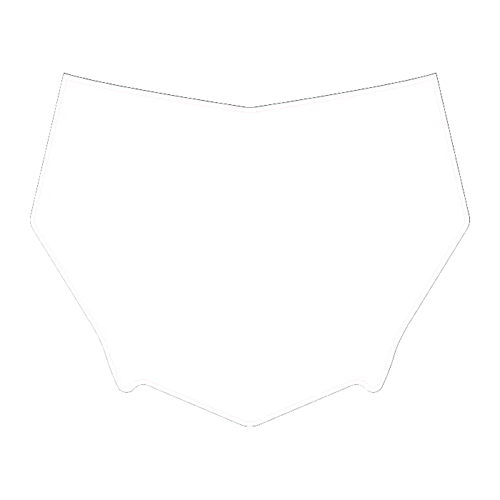 CUSTOM MOTOCUTZ FRONT PLATE DECAL