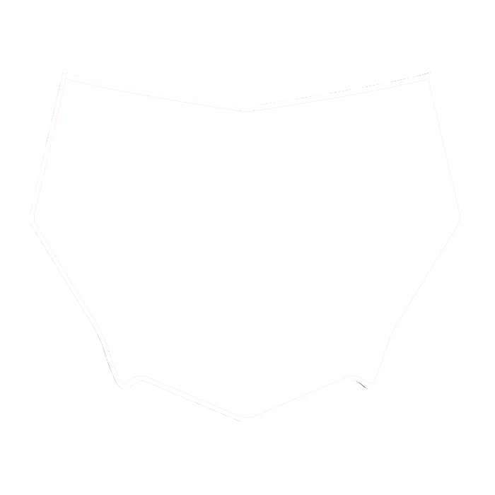CUSTOM MOTOCUTZ FRONT PLATE DECAL