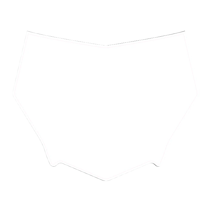 CUSTOM MOTOCUTZ FRONT PLATE DECAL