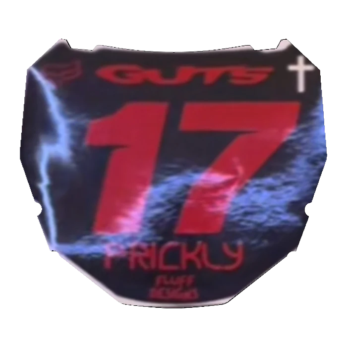 CUSTOM ODI NUMBER PLATE DECAL