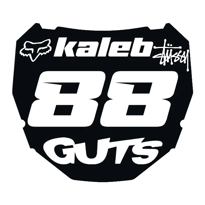 CUSTOM ODI NUMBER PLATE DECAL